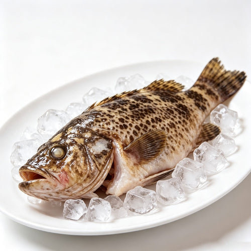 Whole raw grouper with mottled spotted skin resting on crushed ice