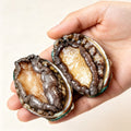 Hand holding two whole abalone showing their iridescent shells and thick meat